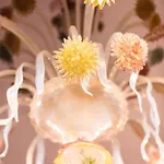 Hotel Flora - By Romanelli Family 3*
