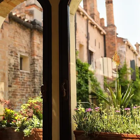Flora Venecia